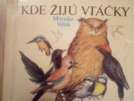 Kde žijú vtáčiky ô, 