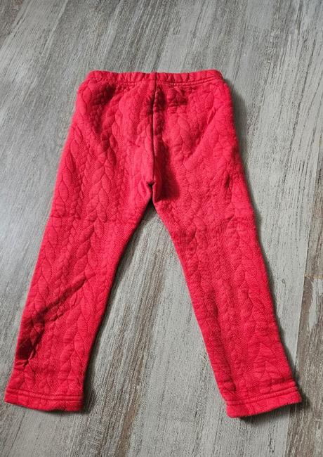 Zateplene leginy, coccodrillo,98