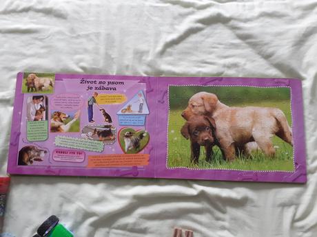 Kniha s puzzle, 