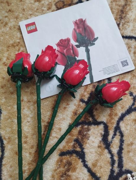 Lego kytica ruzi,