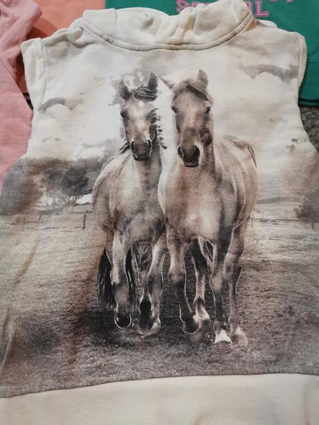 Mikiny, cena spolu, 110