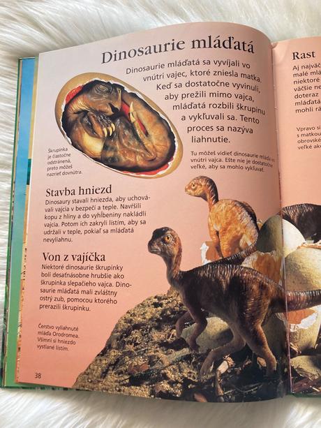 Dinosaury a prehistorický život,