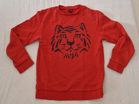 Mikina na8az9rokov, 134