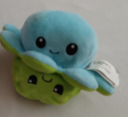 Chobotnica plyšák, 