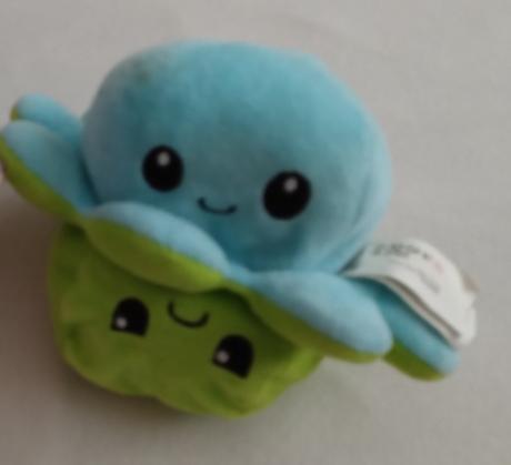 Chobotnica plyšák, 