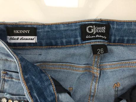 Gaudi rifle, gaudi,26