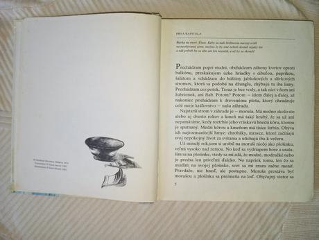 Karen simonjan - dovidenia, natanael,