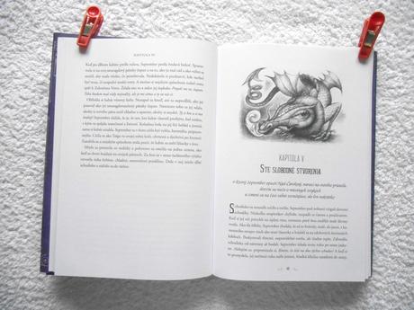 Kniha dievča ktoré spadlo pod čarokraj, 