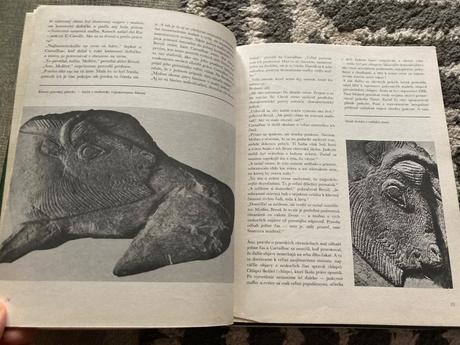 Cesta za adamom (1983), 