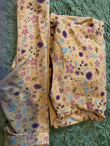 Coccodrillo súprava, coccodrillo,74