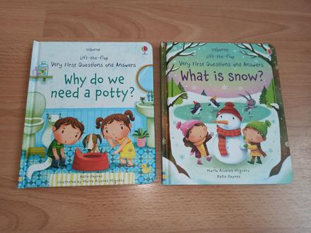 Usborne lift -the-flap potty / snow, 