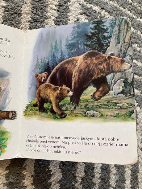 Veselé šteniatka a medvedík na prechádzke, 