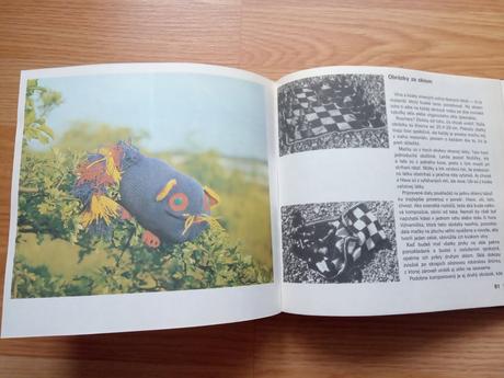 Vysoká škola dievčenskej zručnosti,