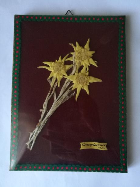 Starodávny obrázok, 