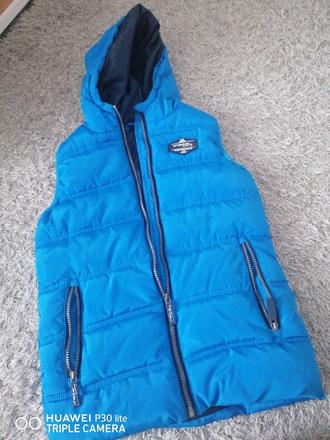 Vesta, chapter young,146