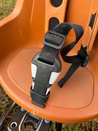 Cyklosedačka bobike, 