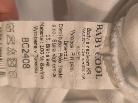 Bodinka s nápismi, 68