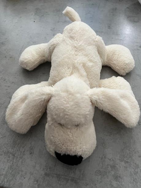 Plyšák psík, 