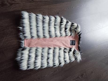 Vesta primigi, primigi,140