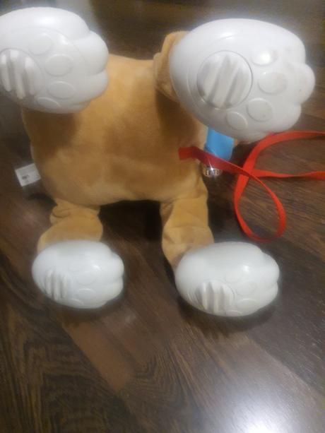 Floppy pes - osobny odber, 