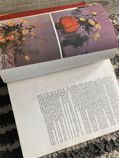 Slávnostné príležitosti (1981), 