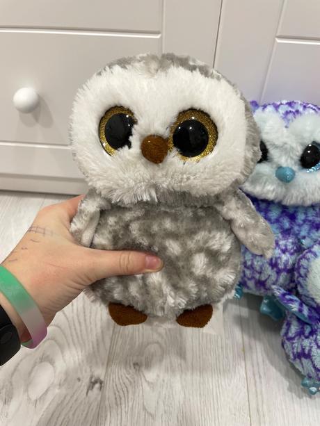 Sovy so sklenými očami,