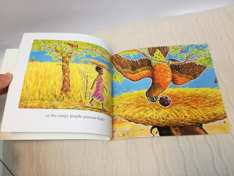 Eileen browne handa's surprise + dvd  njul18, 