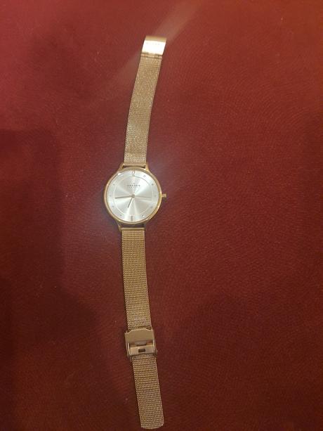 Damske hodinky skagen,