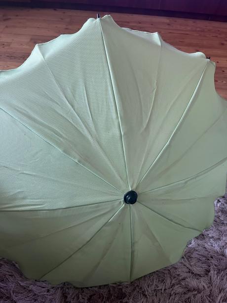 Dáždnik na kočiar, 