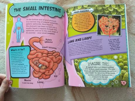 Gruesome guts - zaujímavá kniha o ľudskom tele - p,