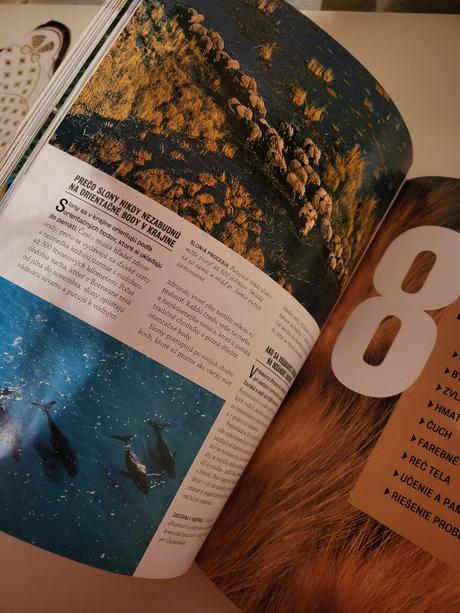 Kniha 1000 divov prírody, 