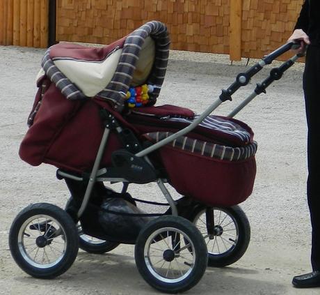 Kočík a kárička v jednom, roan