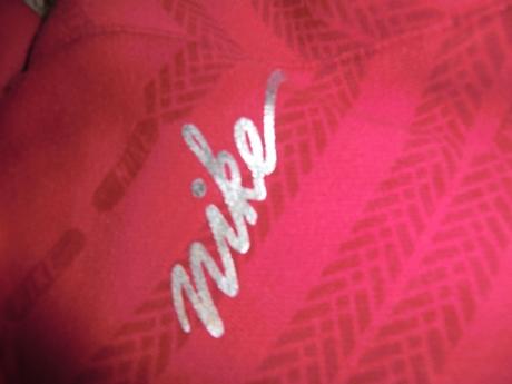 Mikina nike + 3/4 kraťasy vel 116/122, nike,116