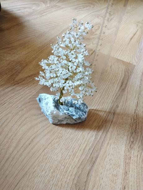 Stromčeky šťastia, 