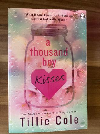 Kniha a thousand boys kisses, 