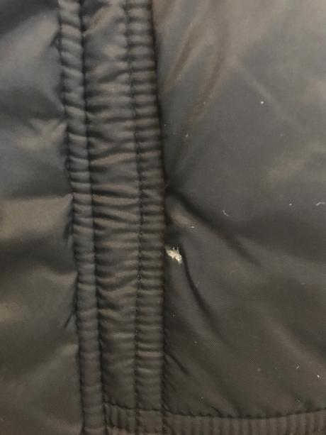 Bunda na zimu(10-12r.), tom tailor,164