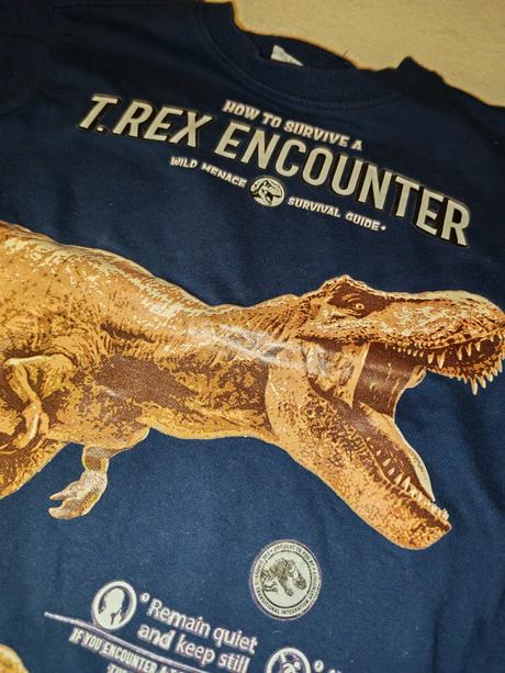 Bavlnená mikina 6-7r, fox & bunny,122