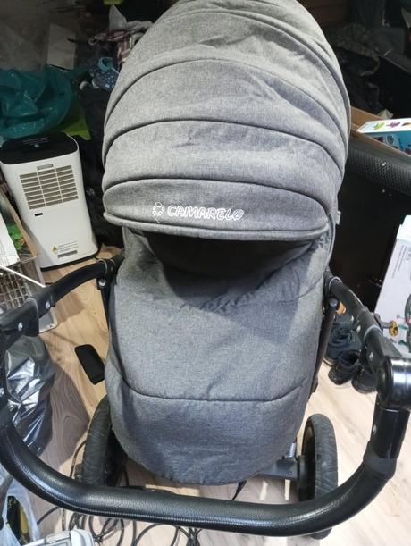 Kočik camarelo, camarelo,camarelo malaga