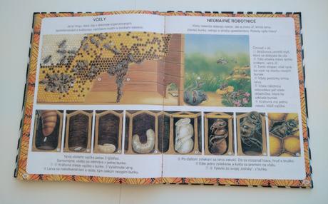 Obrázky rekordov zvierat, 