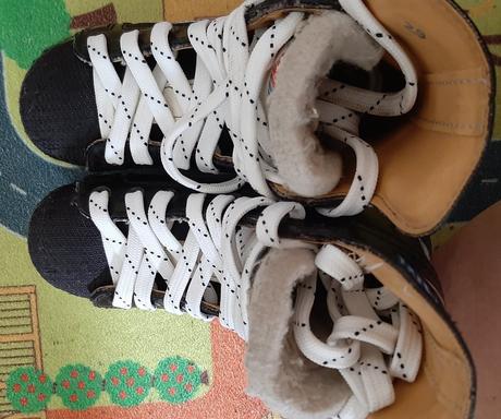 Korcule ladove bauer, bauer,29