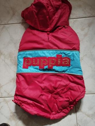 Bundička pre psíka,