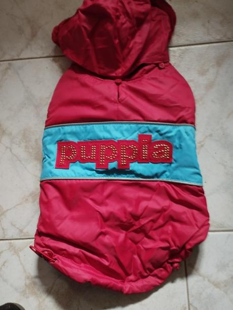 Bundička pre psíka, 