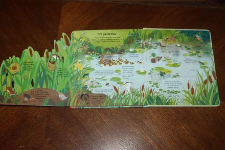 Pozri sa pod obrázok príroda, 