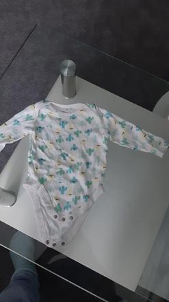 Body s kaktusmi, f&f,74