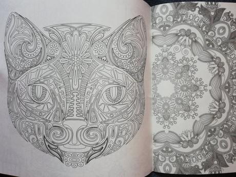 Omaľovánky pre dospelých, 