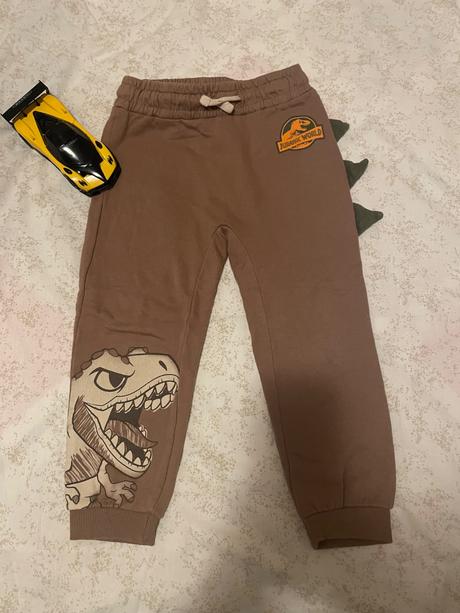 Dino tepláky, pepco,98