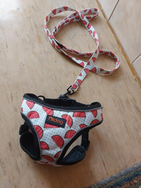 Melónová sada pre psíka,