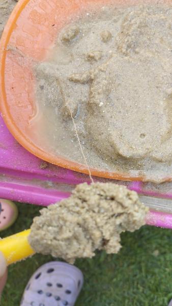 Mohol byť v detskom piesku parazit?