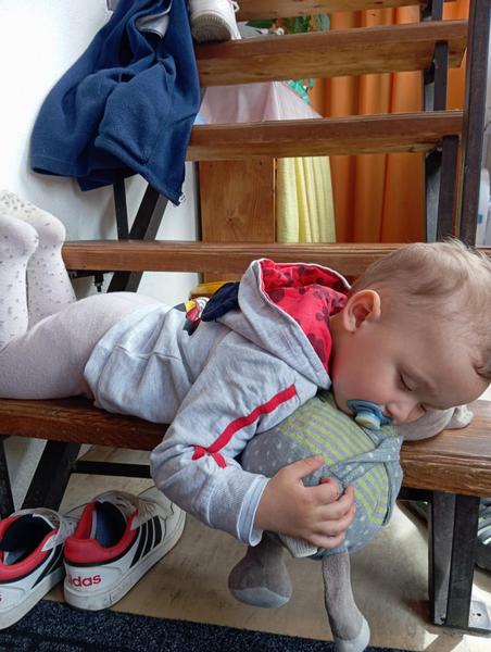 Hľadám plyšového kocúra podľa fotky