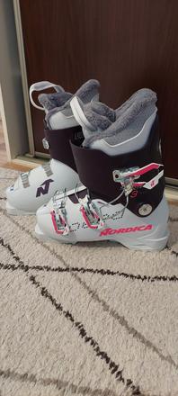 Lyziarka nordica 36 (23.0), nordica,36